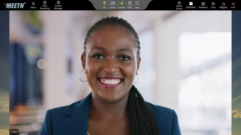 User-friendly Zoom alternative